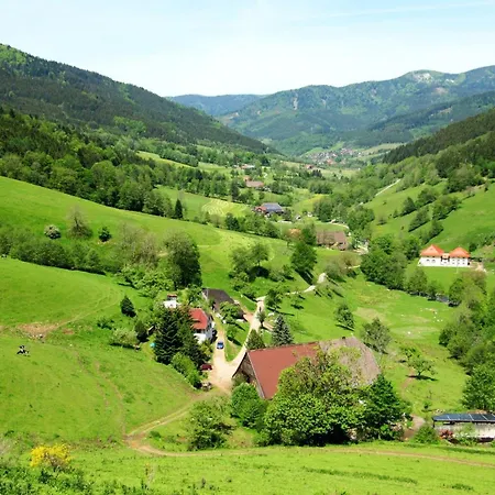 Apartment Regina Furtwangen