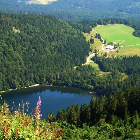 Regina Furtwangen